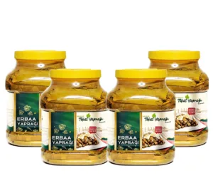 narenciye yaprağı, bağ yaprağı, tokat yaprağı, erbaa yaprağı, üzüm yaprağı