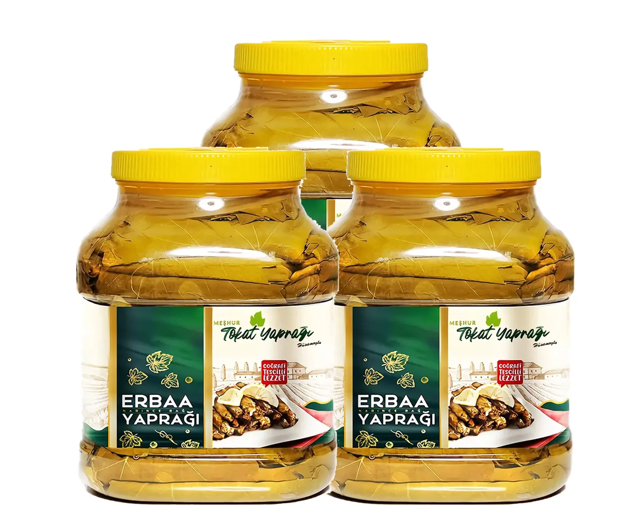 narenciye yaprağı, bağ yaprağı, tokat yaprağı, erbaa yaprağı, üzüm yaprağı